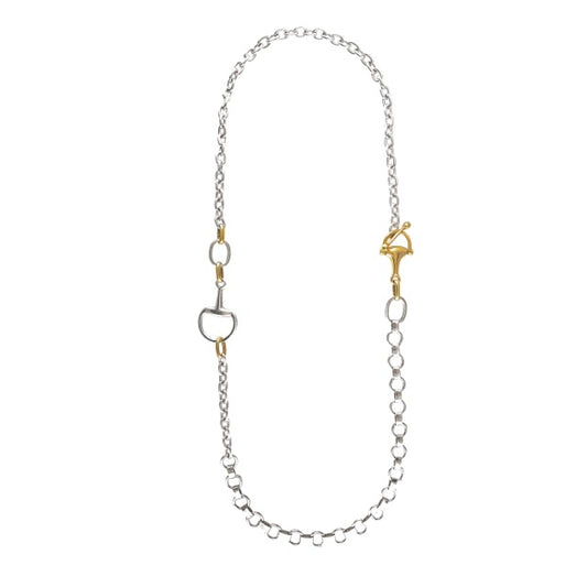 Silver chain with gold clasp on a white background